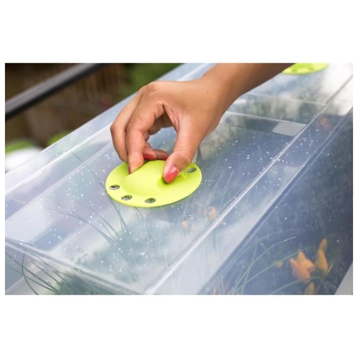 EDA Serre 75x37,5x21,5cm - Naturel