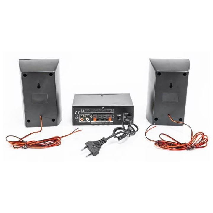 PARTY LIGHT&SOUND PARTY-KA100 - Kit karaoké : 1 amplificateur 2x50W,