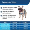 PetSafe - Porte pour chien Originale Staywell,2 voies d'acces/entrée et sortie- Rigide,Panneau de Fermeture Inclus – Blanc, T