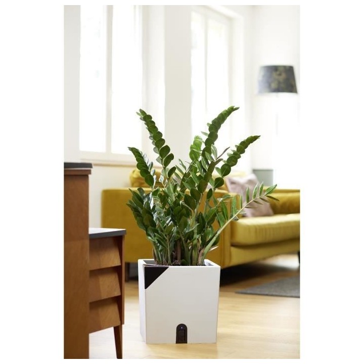 Pot de fleurs carré - EDA Aqualight a réserve d'eau intelligente - 3