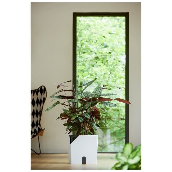 Pot de fleurs carré - EDA Aqualight a réserve d'eau intelligente - 3