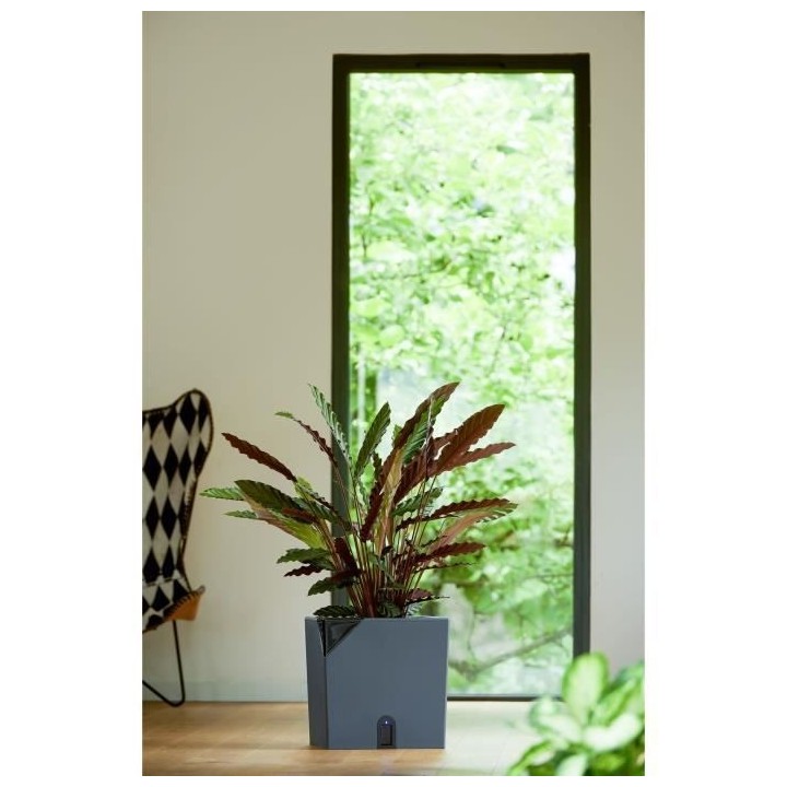 Pot de fleurs carré - EDA Aqualight a réserve d'eau intelligente - 4