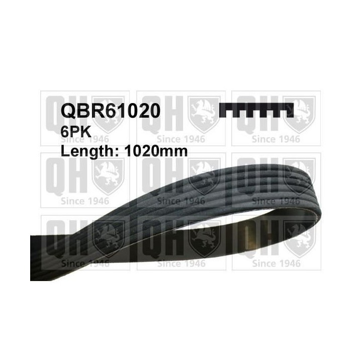QUINTON HAZELL Courroie d'entraînement QBR61020
