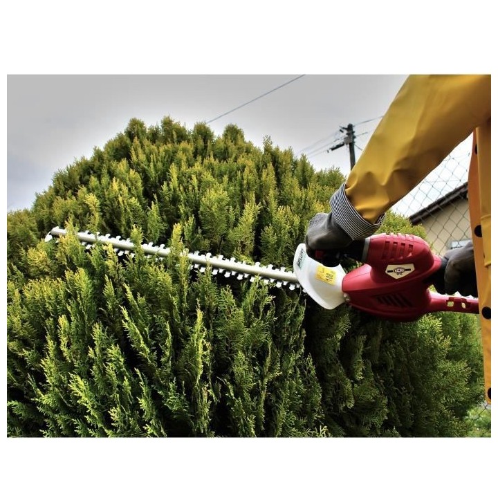 Taille-haie Electrique 60cm 600 W - Protege lame