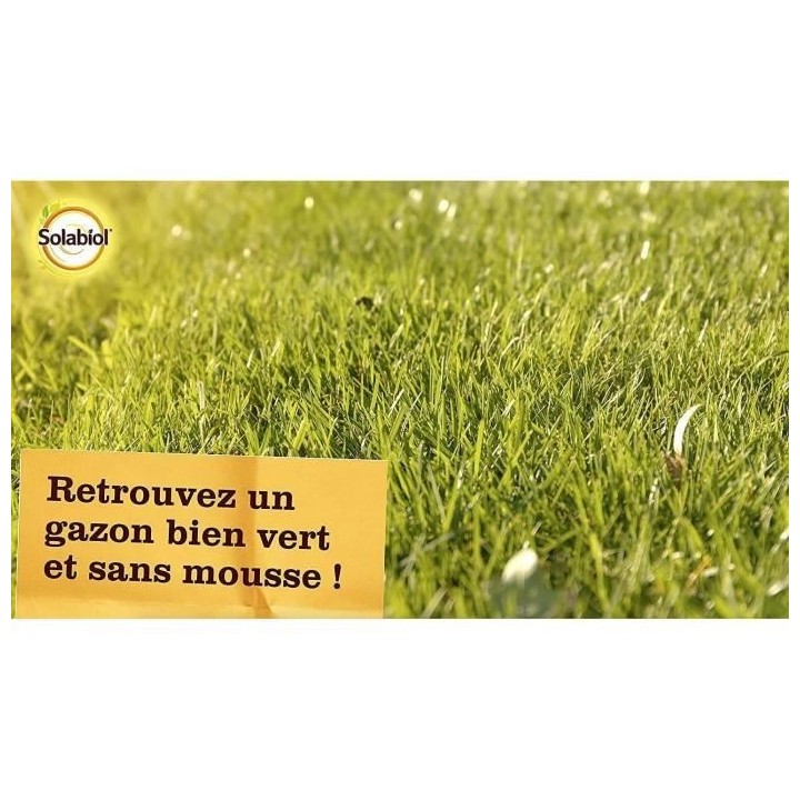 SOLABIOL - Engrais Gazon Anti-Mousse Double Action 80m2 - Etui 3,2 kg