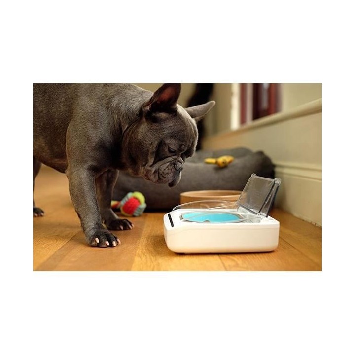 SUREFEED Distributeur de nourriture automatique - Blanc (Livré avec u