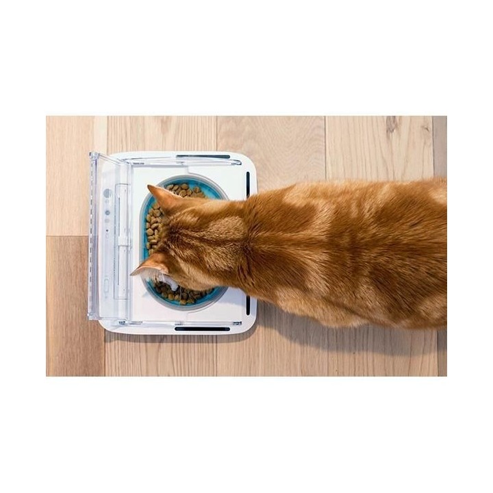 SUREFEED Distributeur de nourriture automatique - Blanc (Livré avec u