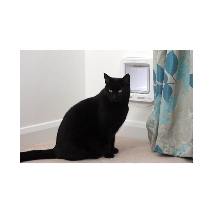 SUREFLAP Grande Chatiere a Puce électronique Connecté - Blanc - 178