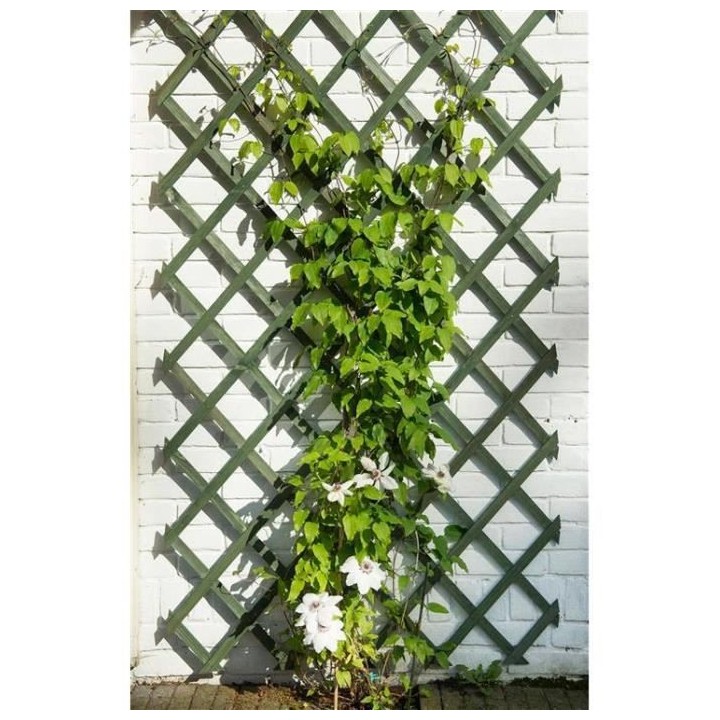 Nature Trellis de jardin 50 x 150 cm Bois Vert