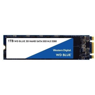 WESTERN DIGITAL Disque dur SA510 - SATA SSD - 1TB interne - Format M2