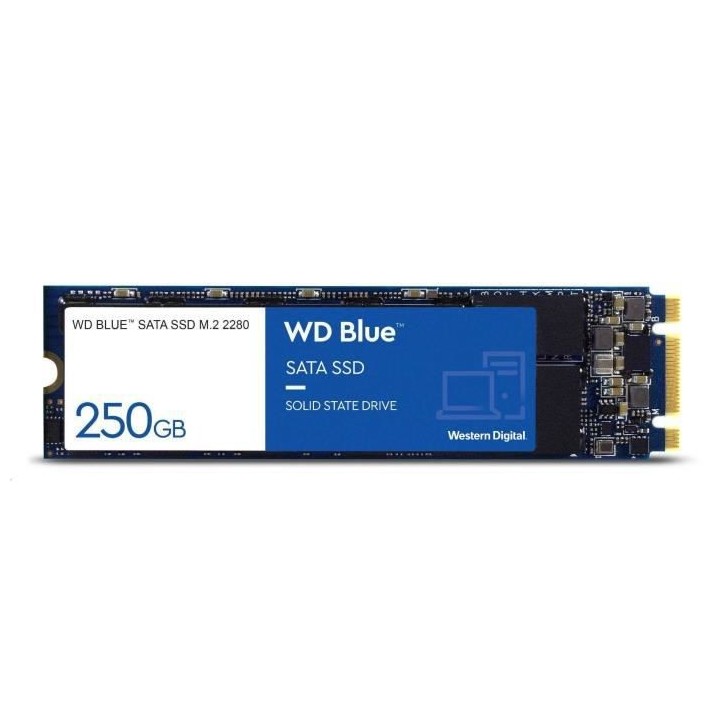 WESTERN DIGITAL Disque dur SA510 - SATA SSD - 500GB interne - Format M
