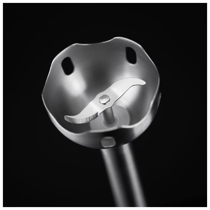 RUSSELL HOBBS 24690-56 Mixeur Plongeant Desire, Bol 500ml Inclus, Lame
