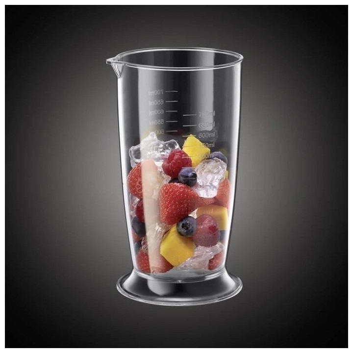 RUSSELL HOBBS 24690-56 Mixeur Plongeant Desire, Bol 500ml Inclus, Lame