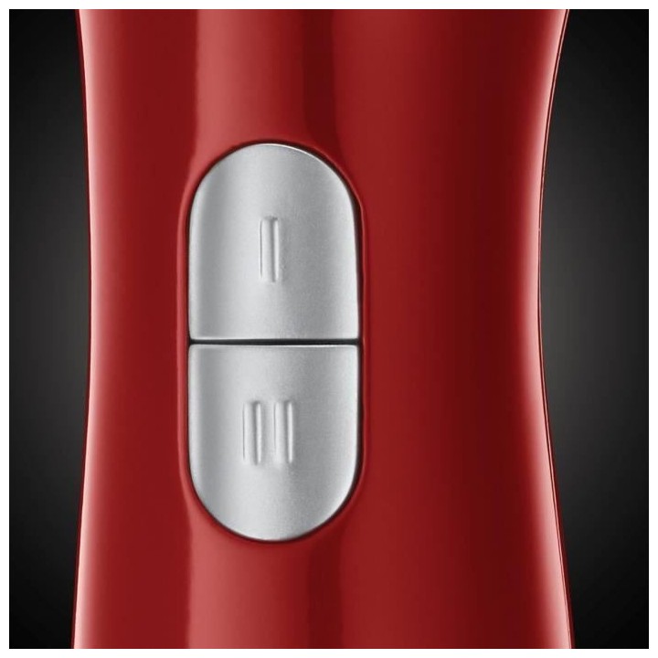 RUSSELL HOBBS 24690-56 Mixeur Plongeant Desire, Bol 500ml Inclus, Lame