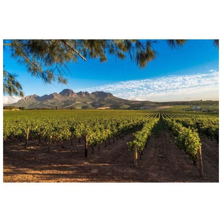 Zoulou Tentation Pinotage - Vin rouge d'Afrique du Sud