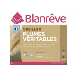 BLANREVE Oreiller Plumes 60x60 cm blanc