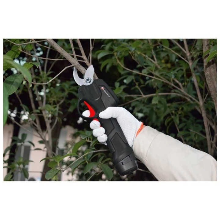 ELEM GARDEN Coupe-branches et sécateur - 7,2V lithium
