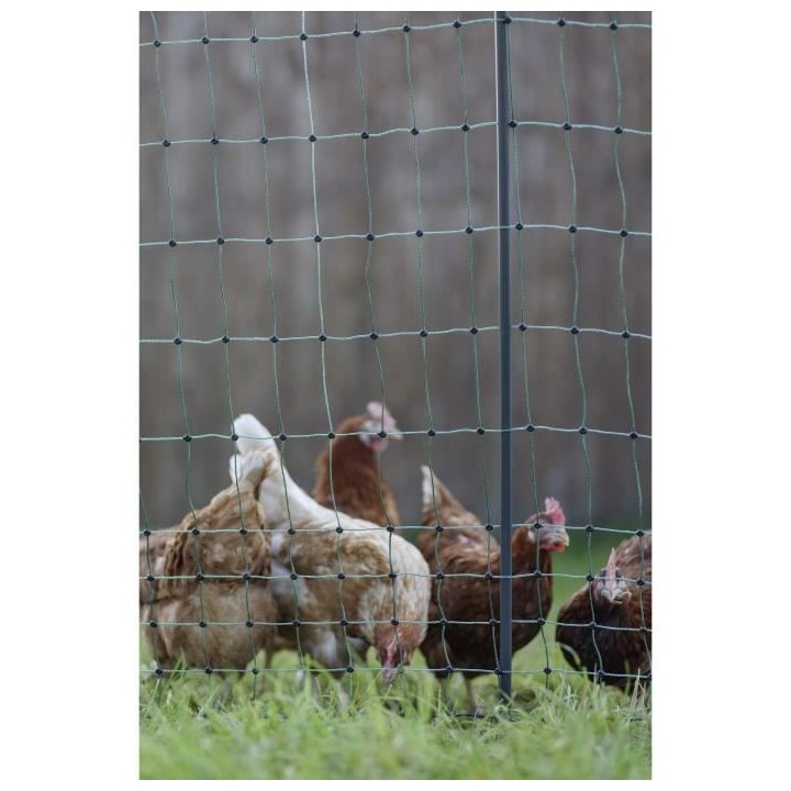 Filet de protection KERBL - NE Premium - 106 cm x 25 m - Vert - Pour v