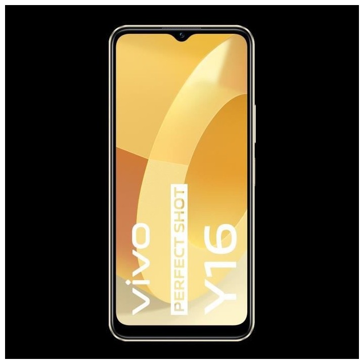 VIVO Y16 128Go 4G Or Étincelant