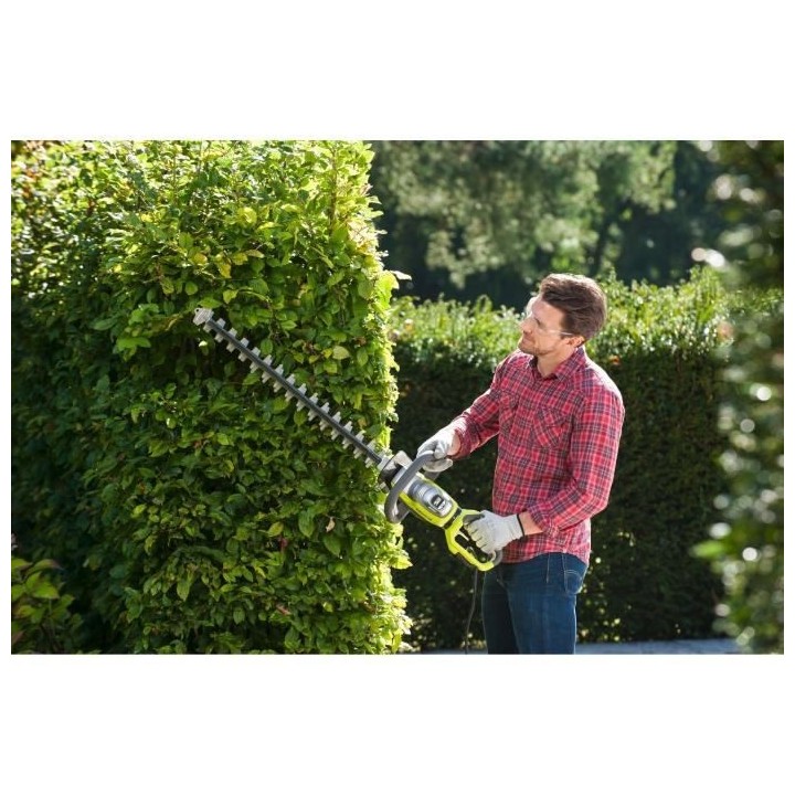 Taille-haies électrique 800W RYOBI RHT8165RL - Lame de 65 cm