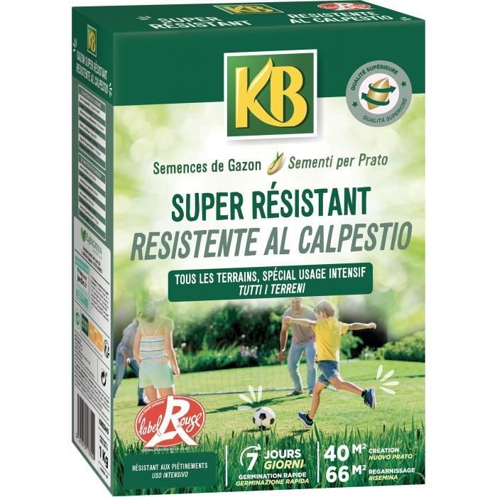 /148096/kb-semences-gazon-super-resistant-40m.jpg /148096/kb-semences-gazon-super-resistant-40m.jpg