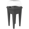 Serre plastique EDA URBAN - Pour Espace Potager Vegétable - L37,6 x P37,6 x H 21,6 cm