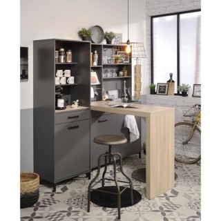 STORM Colonne - Coloris Gris ombre - L60 x P42 x H188 cm - 1 Porte + 1