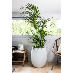 EDA Pot rond Graphit Ø50cm - Contenance 53L - Blanc cérusé