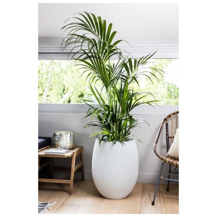 EDA Pot rond Graphit Ø50cm - Contenance 53L - Blanc cérusé