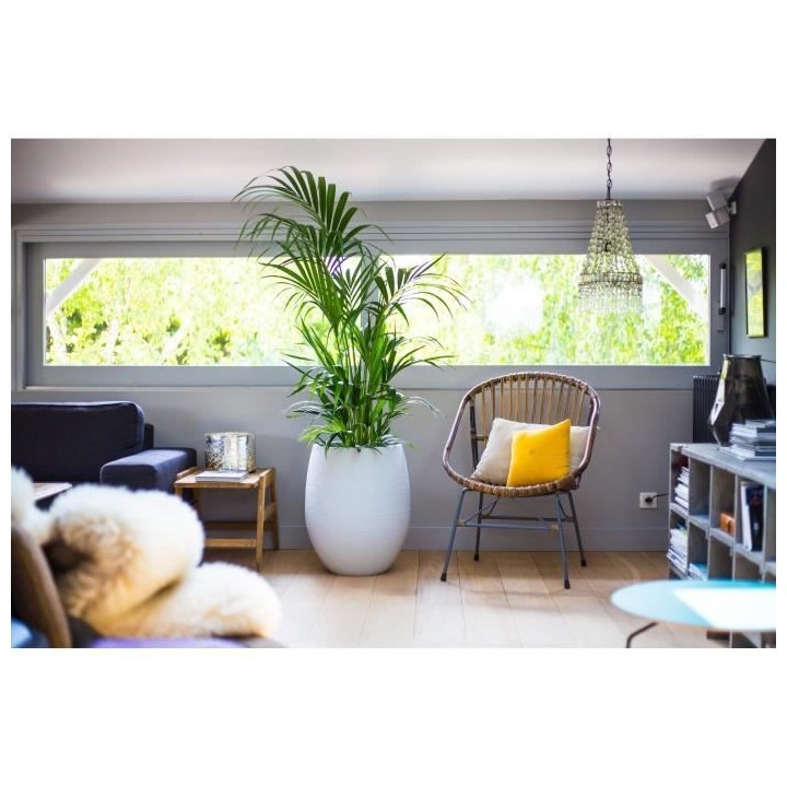 EDA Pot rond Graphit Ø50cm - Contenance 53L - Blanc cérusé