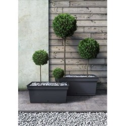 TERAPLAST Jardiniere plastique AQUA Anthracite - Rectangulaire - Longueur 78cm - Soucoupe intégrée - 130L