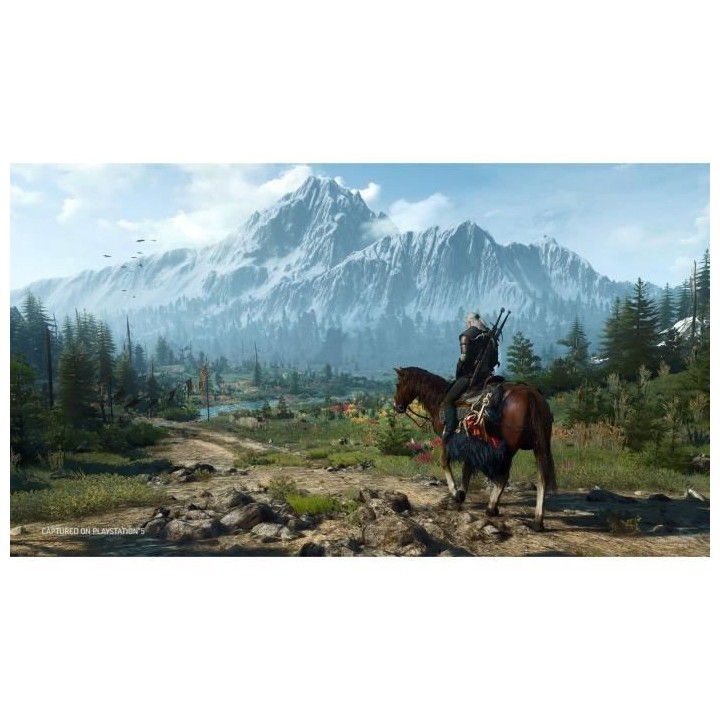 The Witcher 3: Wild Hunt Complete Edition Jeu PS5
