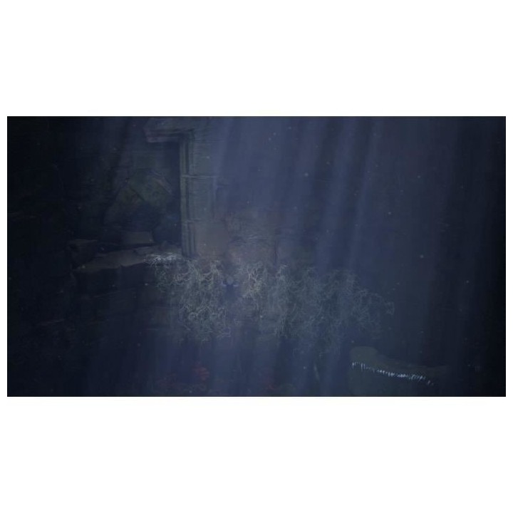 Bramble The Mountain King Jeu Nintendo Switch