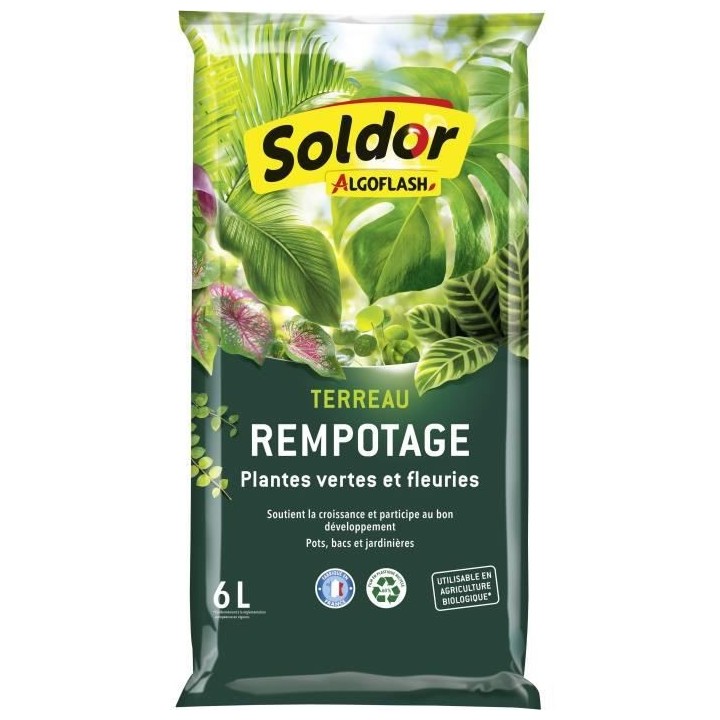 ALGOFLASH - Terreau Rempotage, Plantes Vertes et Plantes Fleuries 6 L