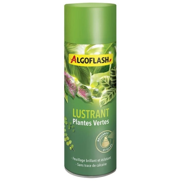 ALGOFLASH - Lustrant Plantes Vertes 250 mL