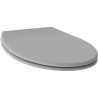 ALLIBERT Abattant de toilette a fermeture silencieuse Dolceo - Gris mat