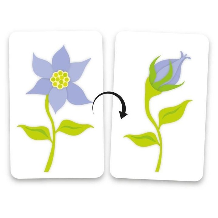 Vice & Versa Nf - Jeu d'observation - GIGAMIC - A partir de 4 ans