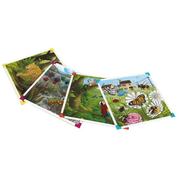 BrainBox Nature - Asmodee