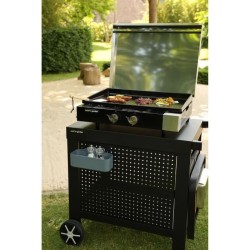 Plancha gaz FINESTA 2 brûleurs inox - Allumage intégré - Cuve acier - Surface de cuisson 66x56