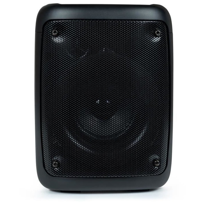 EnceinteBIGBEN PARTY bt aux in usb micro sd - taille s