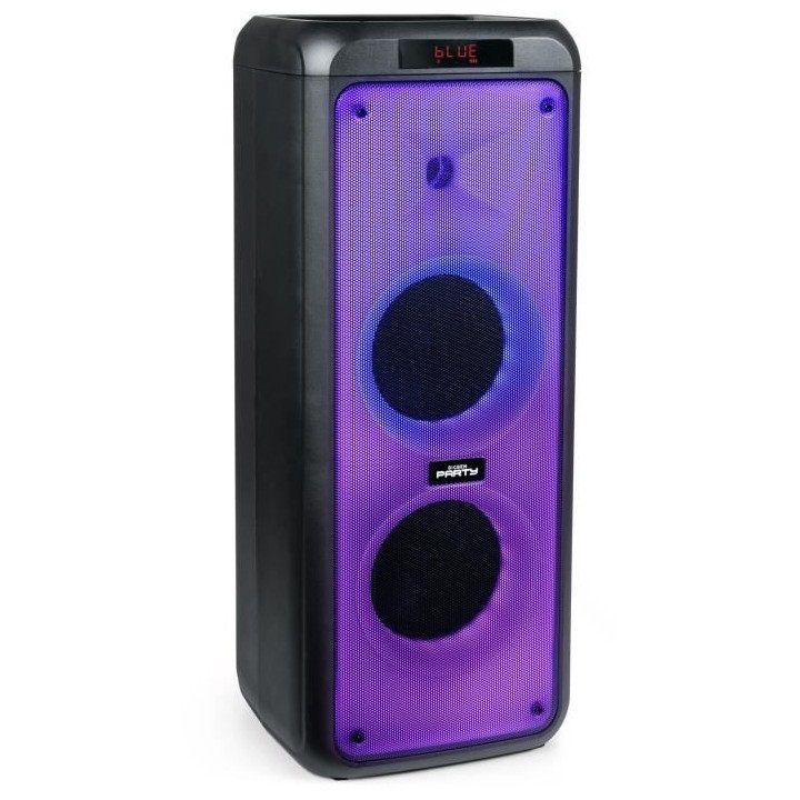 Enceinte BIGBEN PARTY bt aux in usb micro sd + 2 micros - taille xl