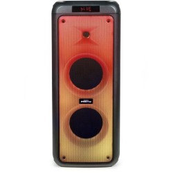 Enceinte BIGBEN PARTY bt aux in usb micro sd + 2 micros - taille xl