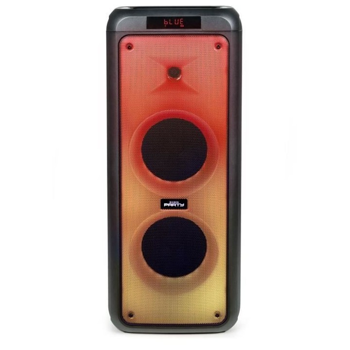 Enceinte BIGBEN PARTY bt aux in usb micro sd + 2 micros - taille xl