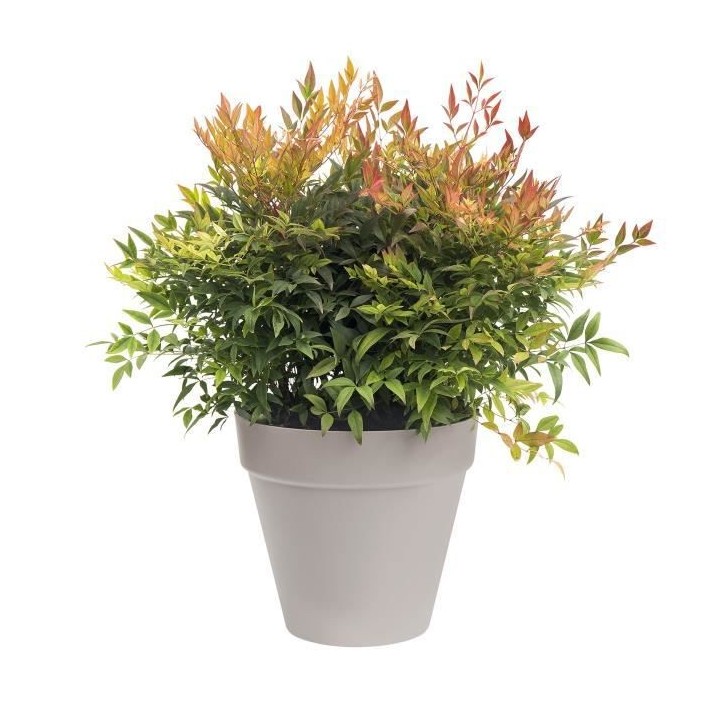 ELHO Pot de fleurs rond avec roues Loft Urban - Ø 40 cm - Gris anthra