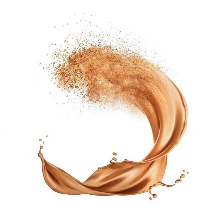 Fond de teint Infaillible longue tenue L'OREAL PARIS en poudre - Noise