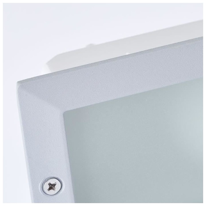 Applique extérieure FLOSSY couleur argent E27