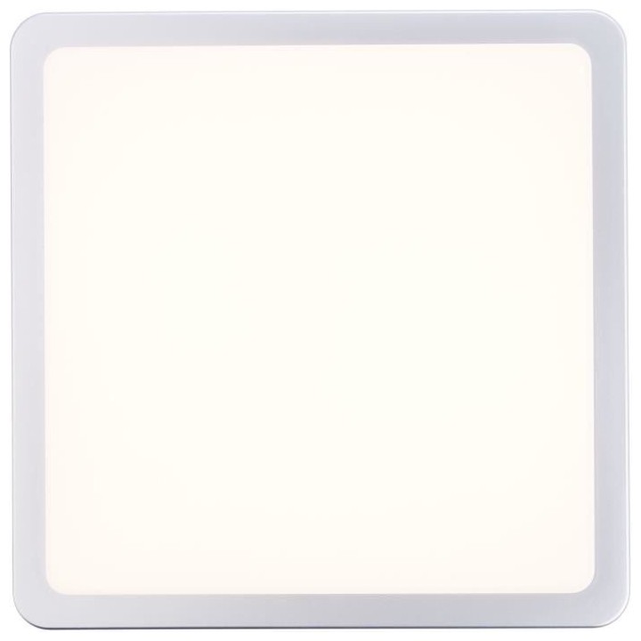 Plafonnier extérieur DEVORA couleur argent led intégré