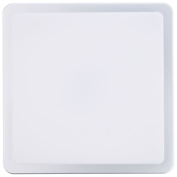 Plafonnier extérieur DEVORA couleur argent led intégré