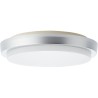 Plafonnier extérieur DEVORA couleur argent LED intégré