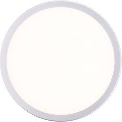 Plafonnier extérieur DEVORA couleur argent LED intégré